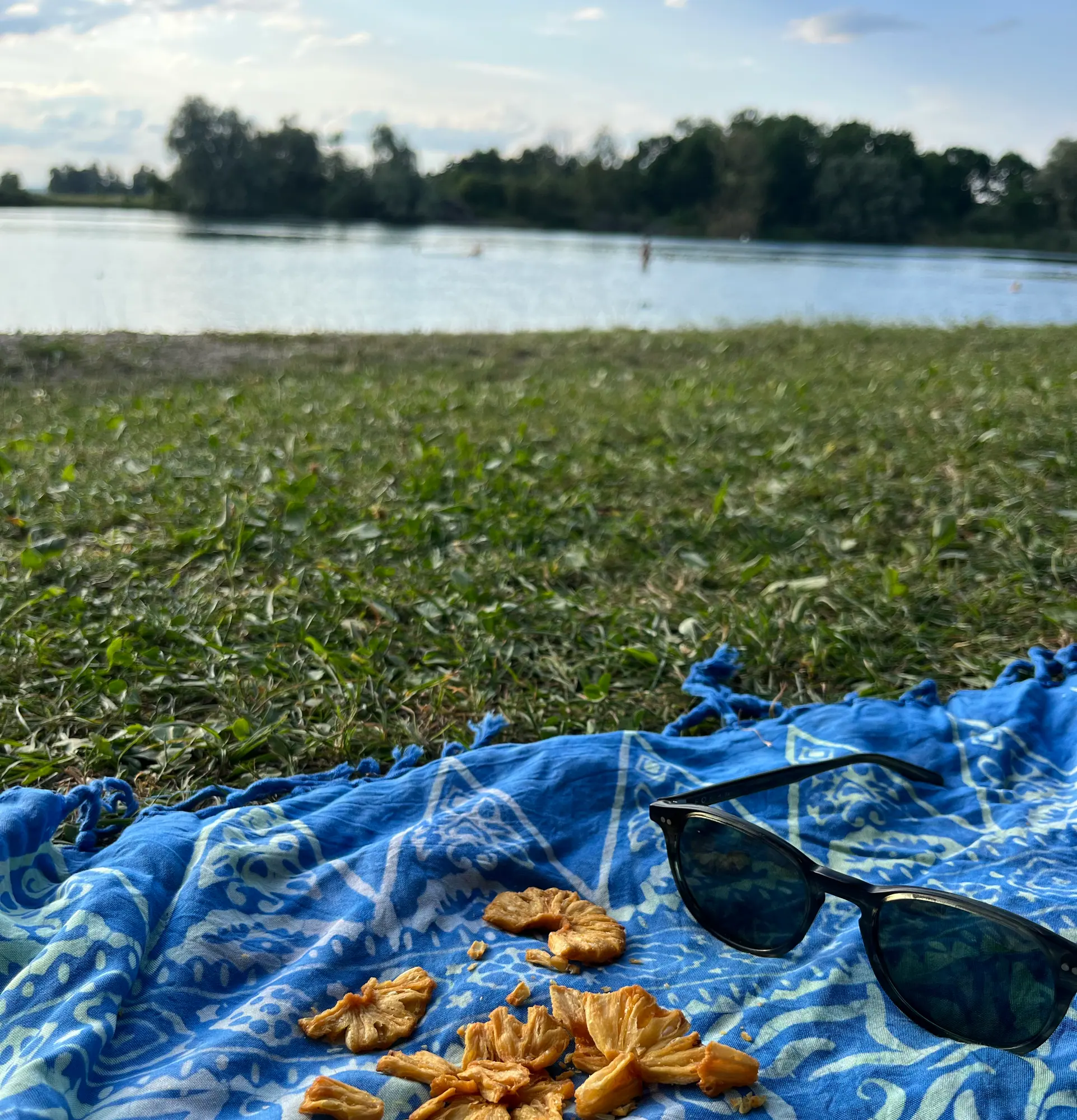 Picknickdecke mit Crispy Ananas und Sonnenbrille am Seeufer, Wasser und Bäume im Hintergrund