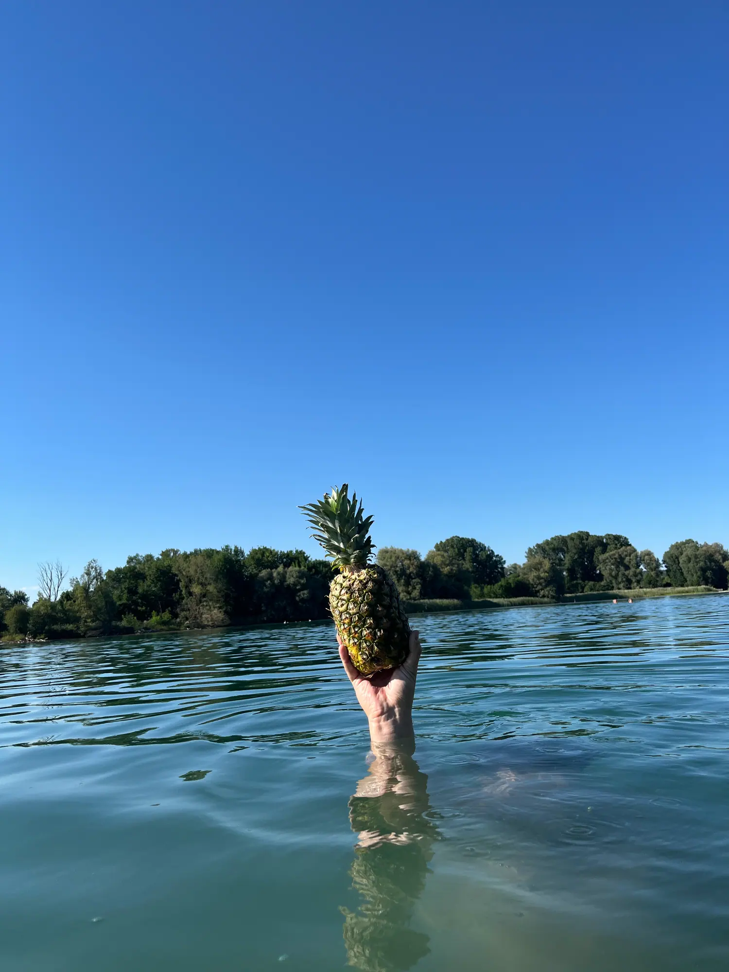 Eine Hand hält eine ganze Ananas über das Wasser eines Sees, blauer Himmel